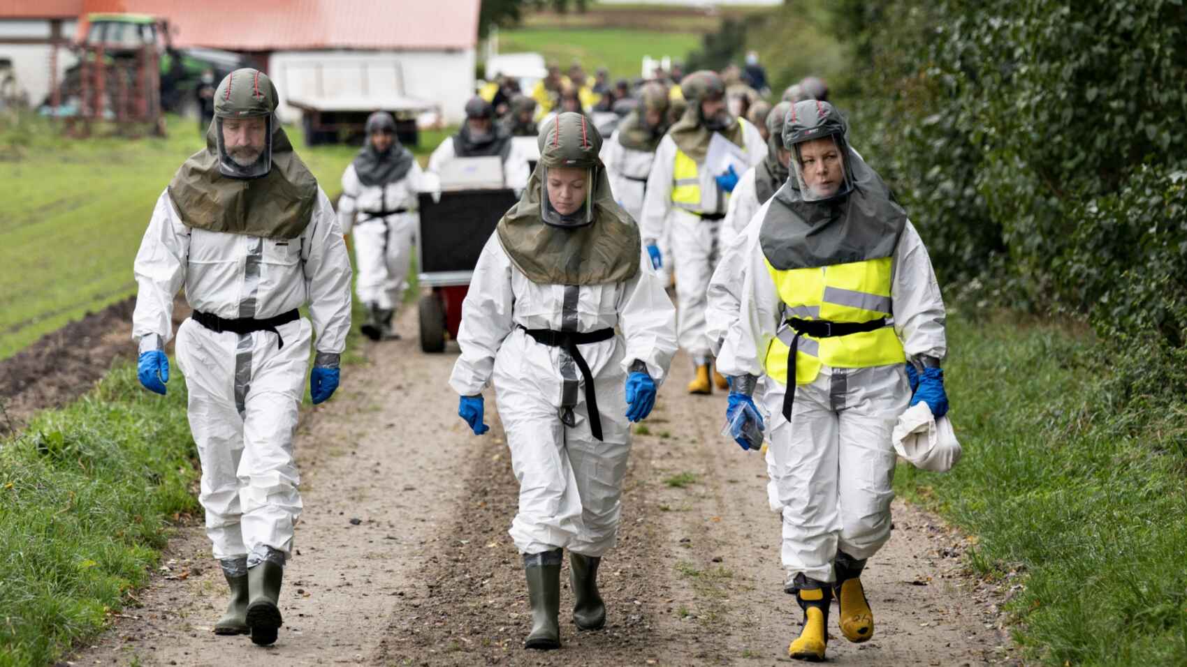 Uccisione milioni di visoni Danimarca